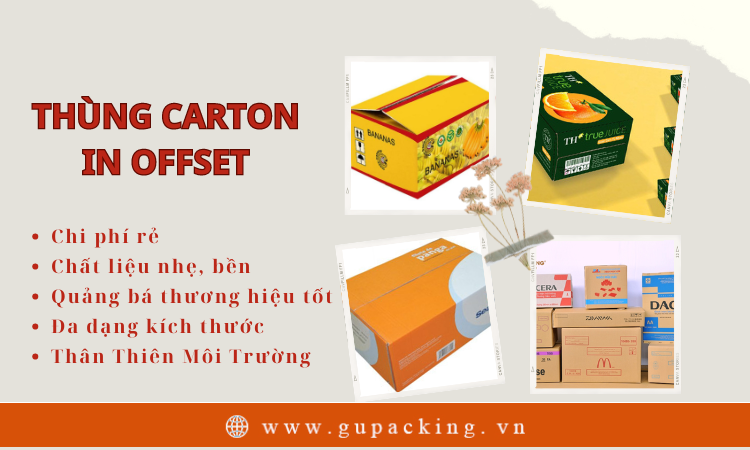 THÙNG CARTON IN OFFSET
