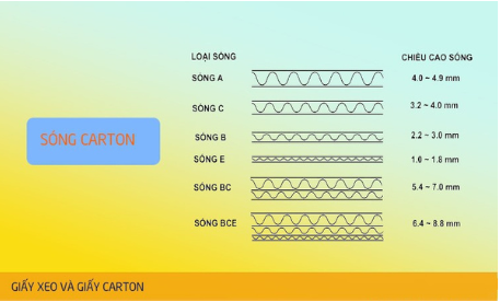 Tìm Hiểu Về Các Loại Sóng Thùng Carton: Đặc Điểm và Ứng Dụng