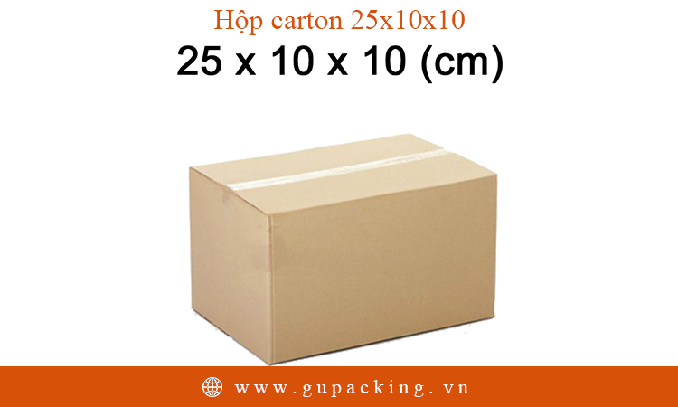 Hộp carton 25x10x10